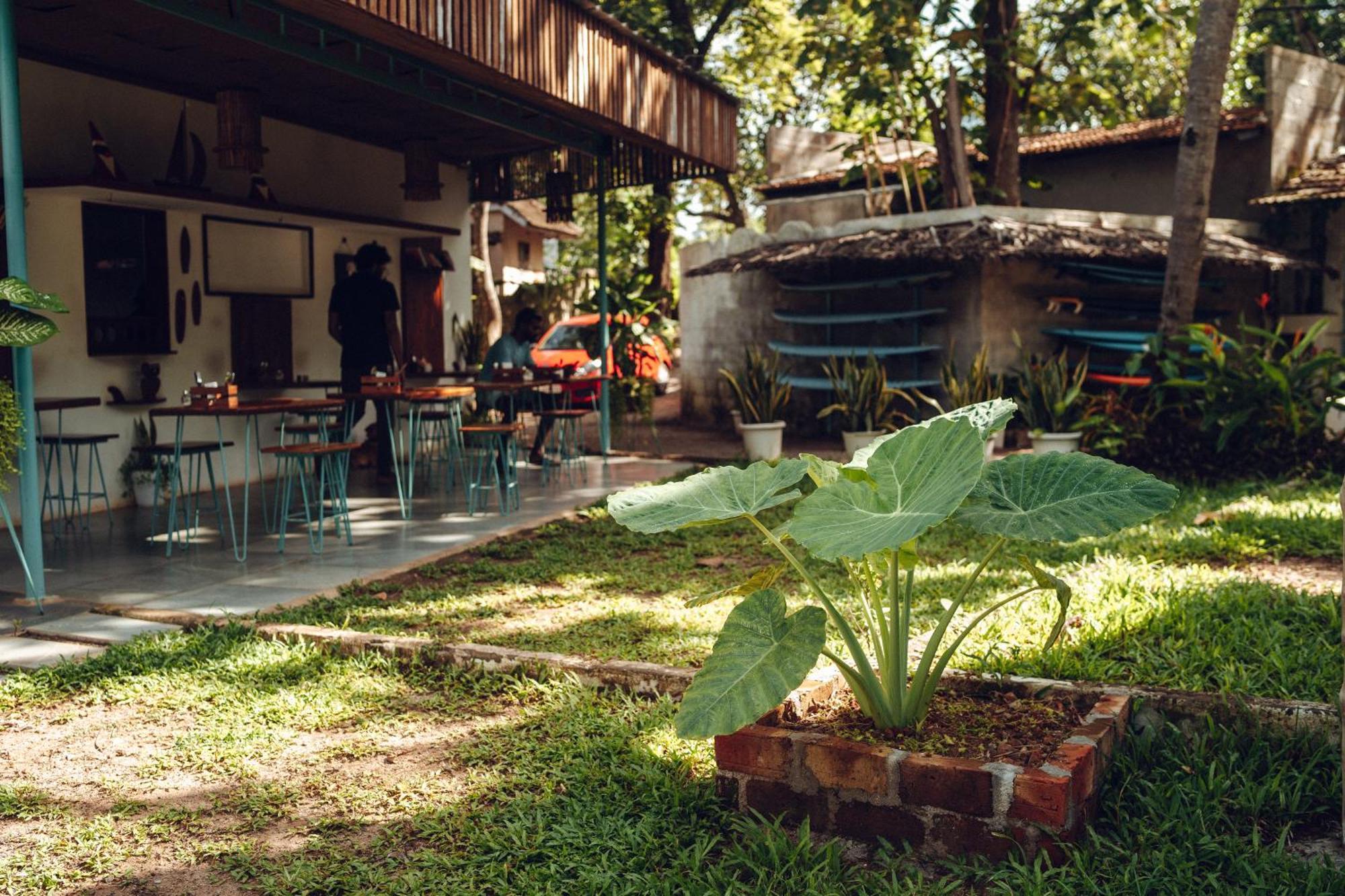 Paddlecult Surf Retreat Bed & Breakfast Varkala Exterior foto